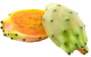 opunciya-frukt